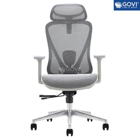 GHẾ CÔNG THÁI HỌC ERGINOMIC DS FUTURE ALPHA 01 GREY