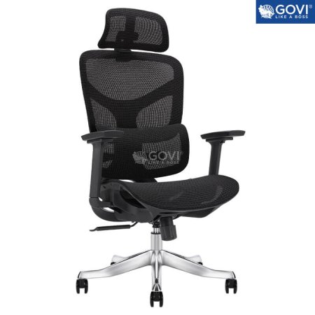 GHẾ CÔNG THÁI HỌC ERGONOMIC DS FUTURE ALEX 03 BLACK