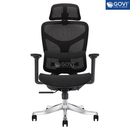 GHẾ CÔNG THÁI HỌC ERGONOMIC DS FUTURE ALEX 04 BLACK FULL MESH