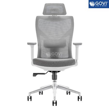 GHẾ CÔNG THÁI HỌC ERGINOMIC RYAN R02A GREY