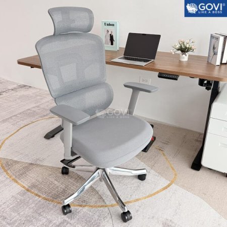 GHẾ CÔNG THÁI HỌC ERGONOMIC DS FUTURE ALEX 03 GREY